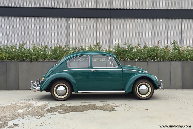 Volkswagen Beetle Maggiolino Kaefer
